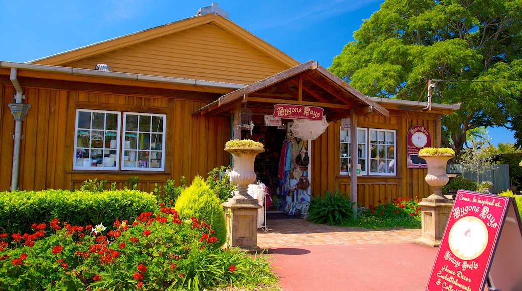 Mount Tamborine which includes shopping and signage