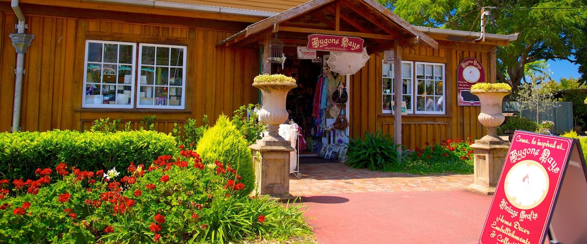 Mount Tamborine which includes signage and shopping