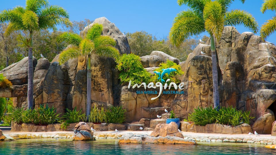 Sea World showing a waterpark, rides and signage