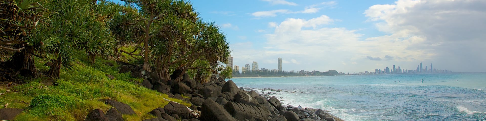 Burleigh Head National Park showing landscape views and rugged coastline