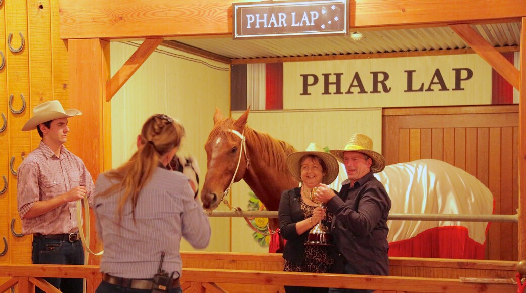 Australian Outback Spectacular featuring interior views, land animals and signage