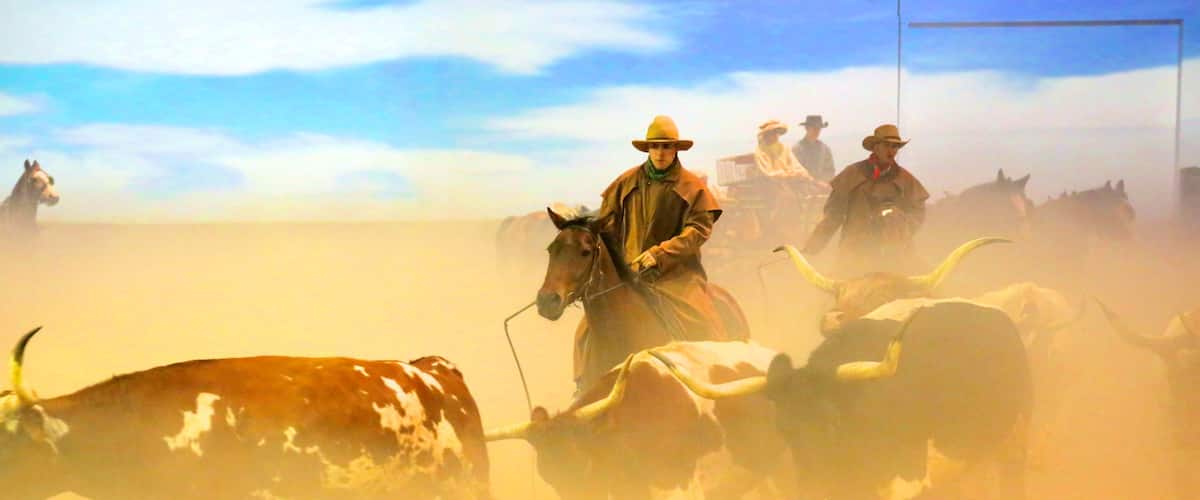 Australian Outback Spectacular featuring horseriding, land animals and performance art