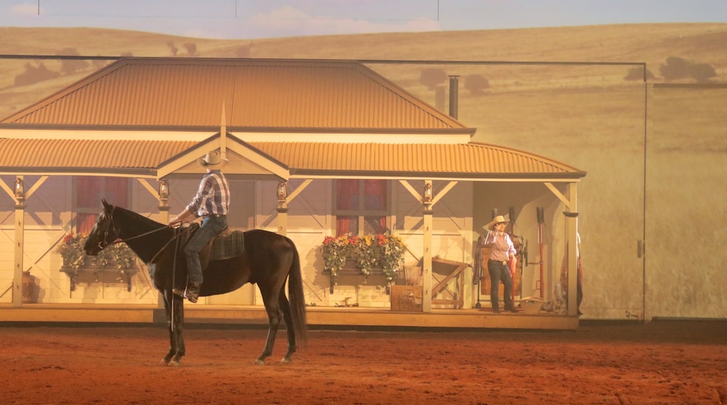 Australian Outback Spectacular showing land animals, performance art and interior views