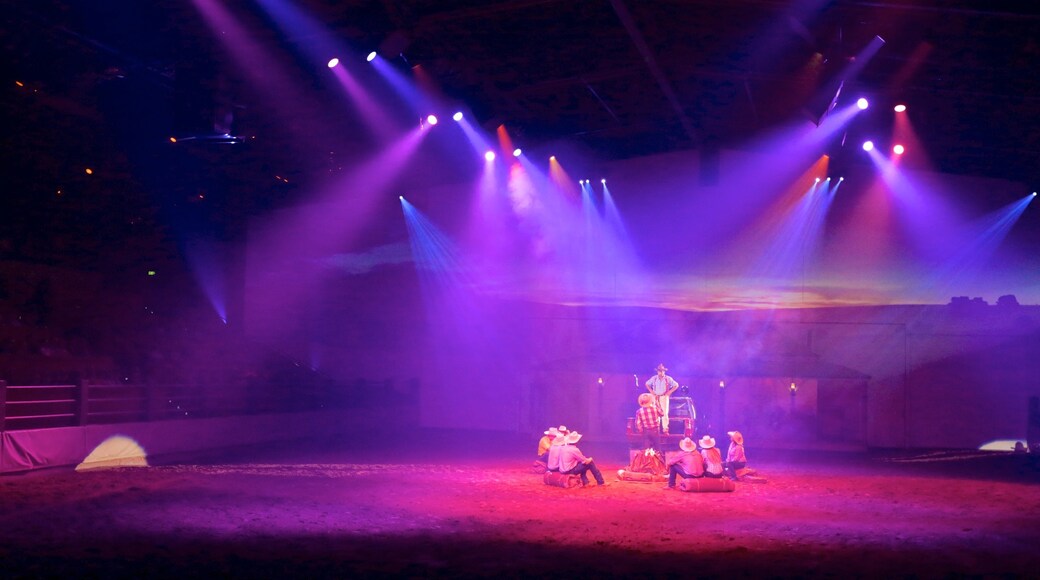 Australian Outback Spectacular which includes performance art and interior views