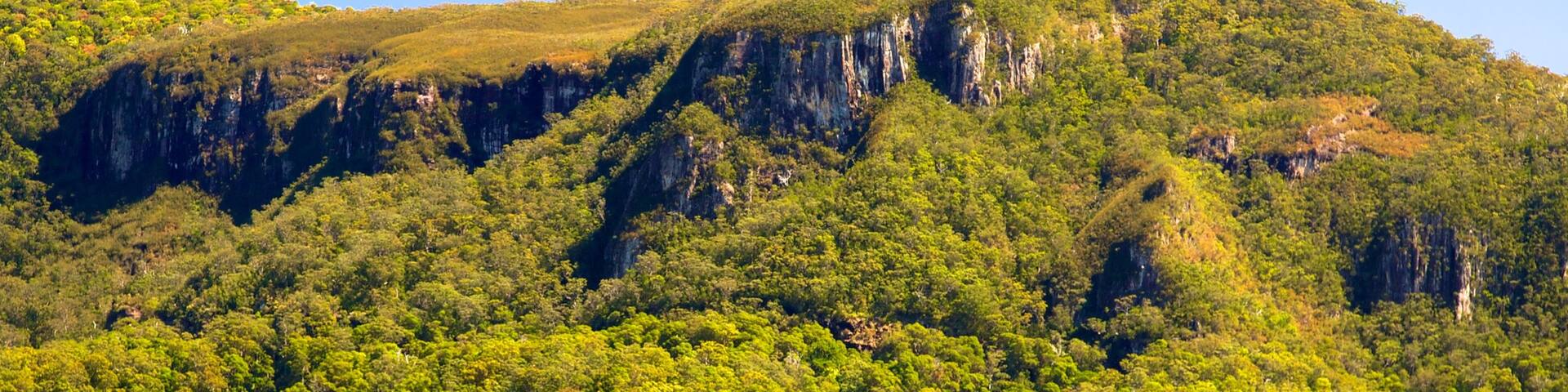 Springbrook National Park showing landscape views and forest scenes