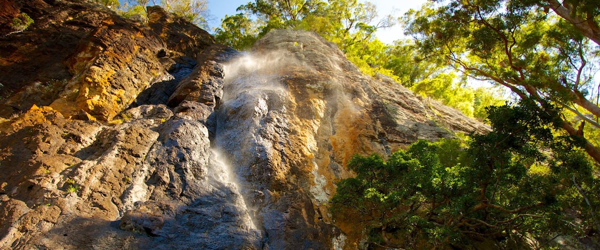 Springbrook National Park featuring landscape views