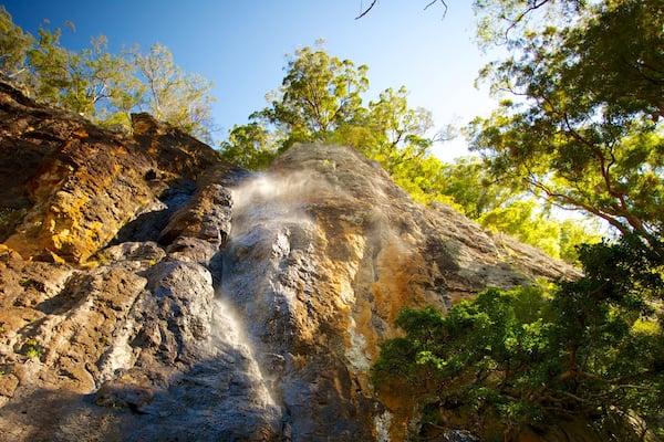 Springbrook National Park welches beinhaltet Landschaften