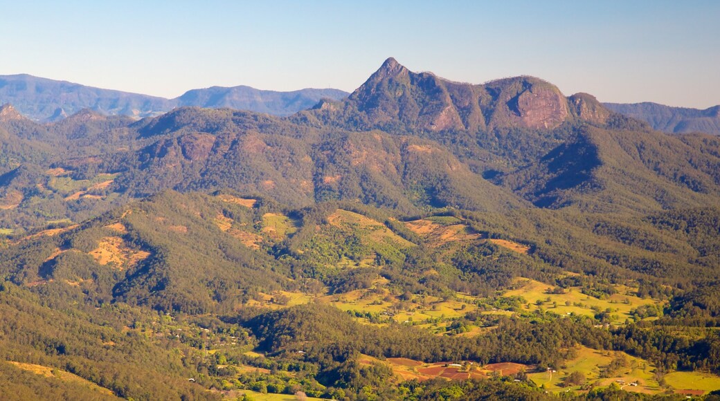 Springbrook National Park showing landscape views, forest scenes and mountains