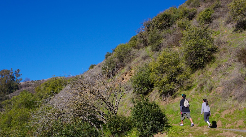 Alum Rock Park featuring hiking or walking and a garden