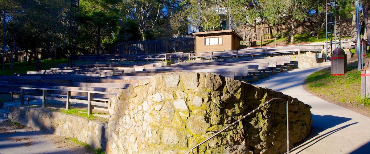 Forest Theater Guild mostrando un parque y escenas de teatro