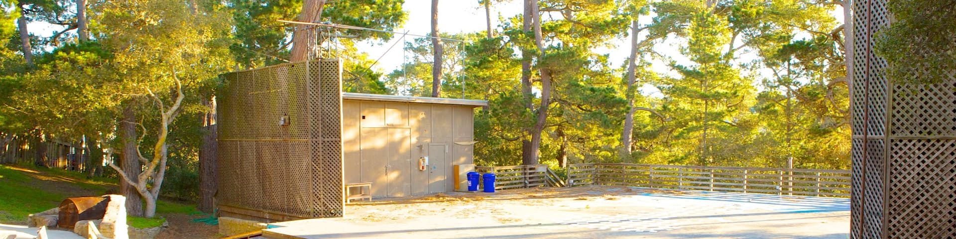 Forest Theater Guild featuring a garden and theater scenes
