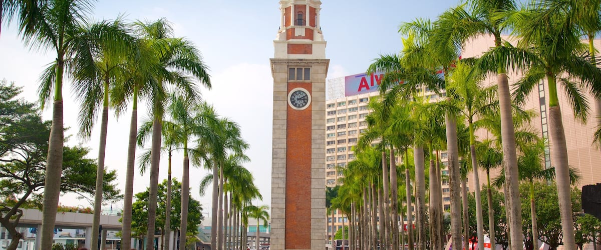 Tsim Sha Tsui showing a city and a fountain