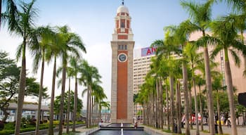 Tsim Sha Tsui showing a city and a fountain