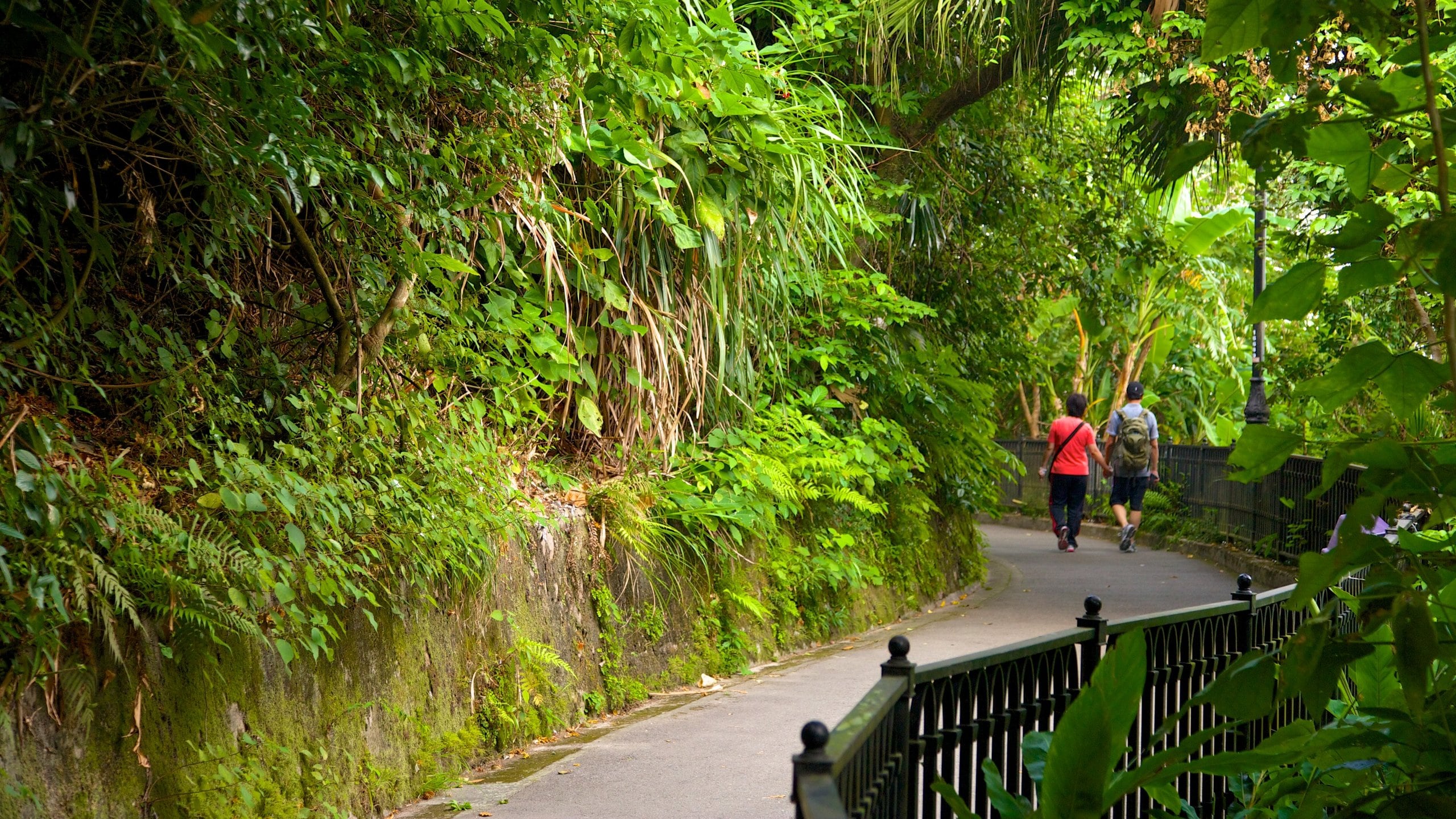 Victoria Peak Tower som inkluderar en park och regnskog såväl som ett par