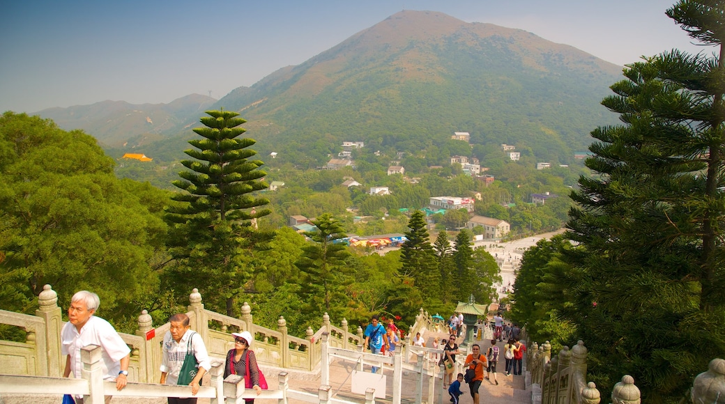 Big Buddha featuring hiking or walking, forests and mountains