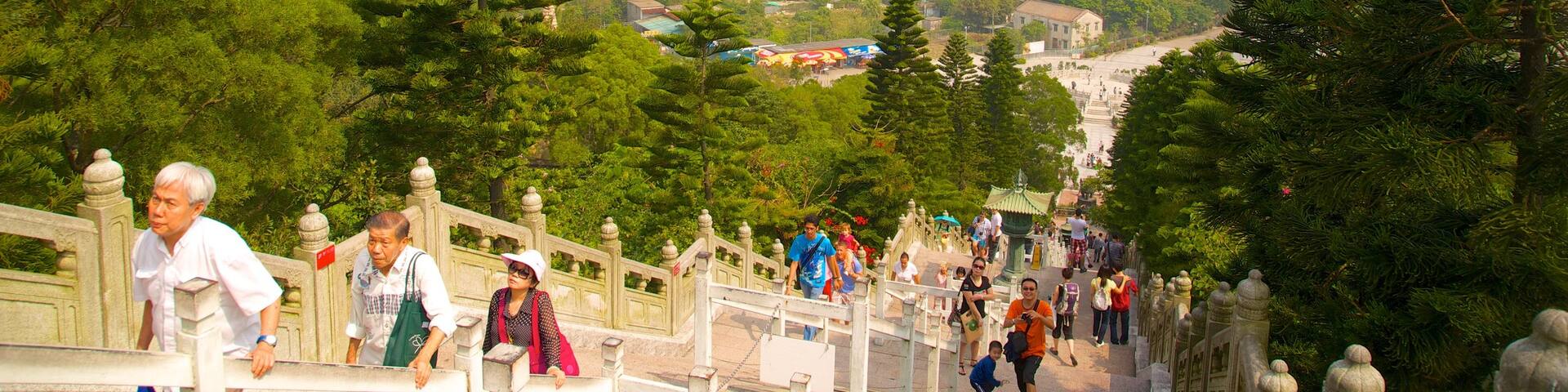 Big Buddha featuring hiking or walking, forests and mountains