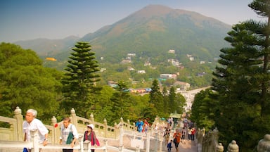 Big Buddha showing hiking or walking, mountains and forests