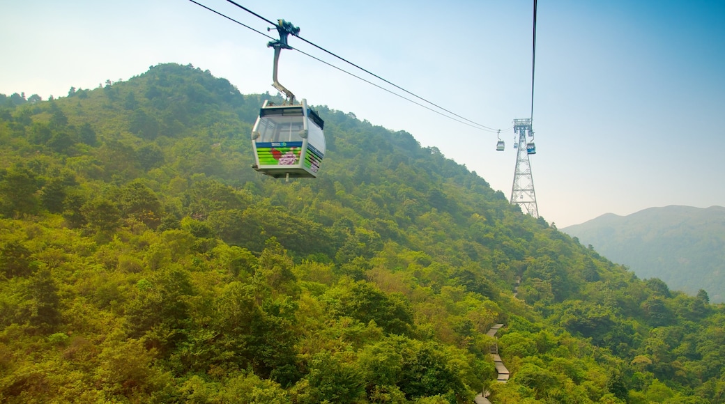 Ngong Ping 360 featuring a gondola and forest scenes