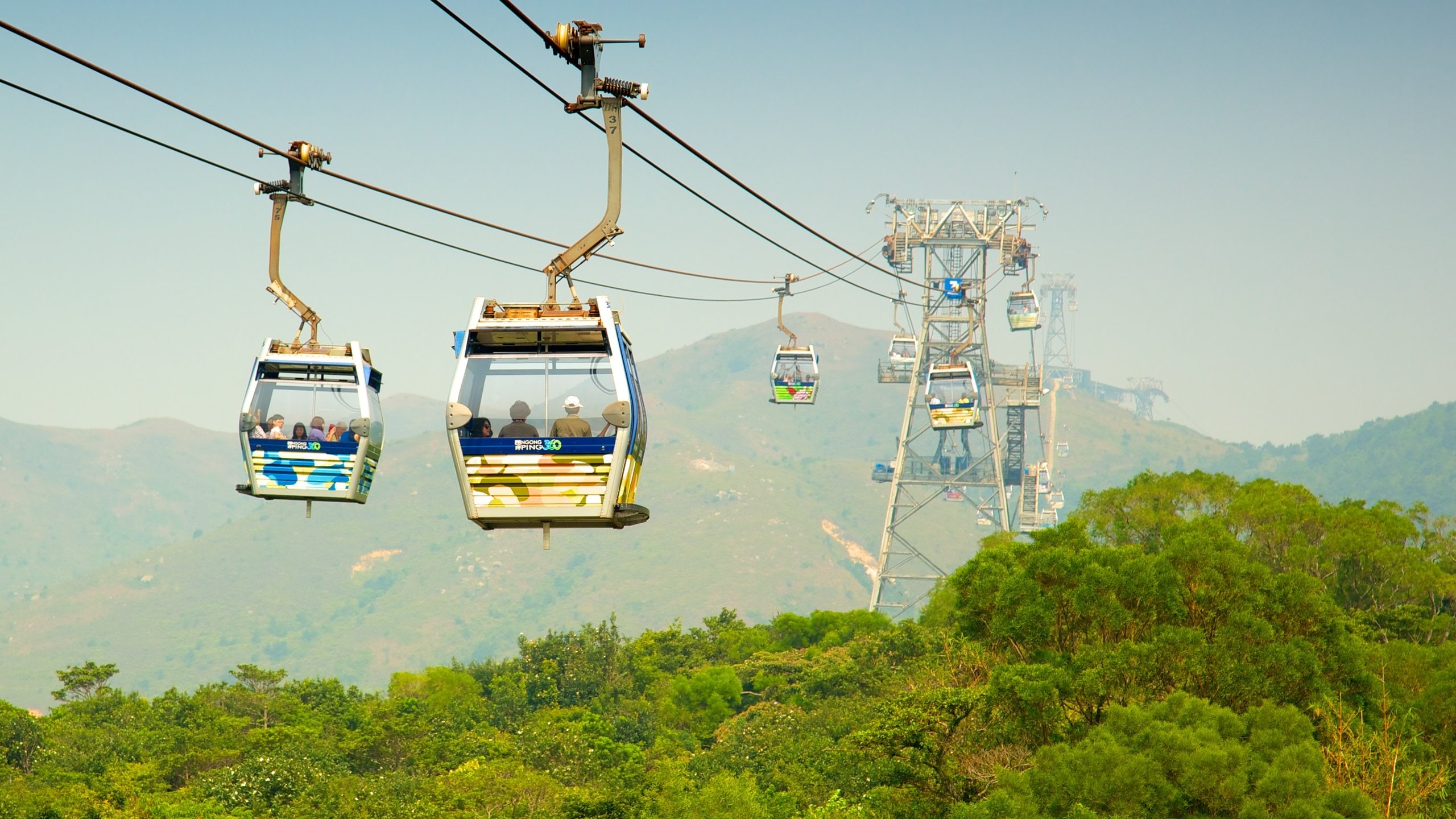 Ngong Ping 360 which includes a gondola and forests