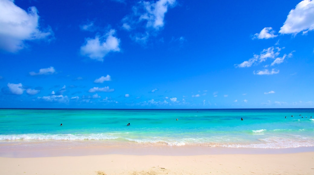 Playa Rockley