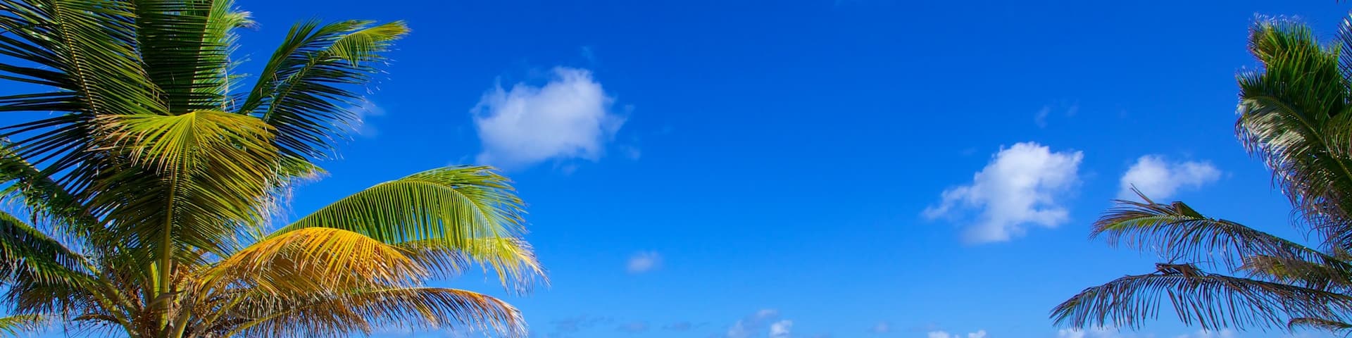 Rockley Beach showing a beach, general coastal views and tropical scenes