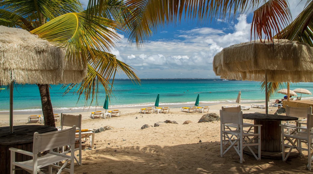 Bãi biển Friars Bay