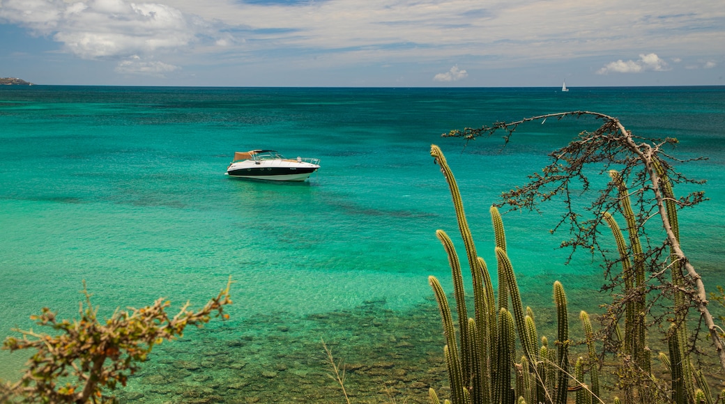 Friar's Bay