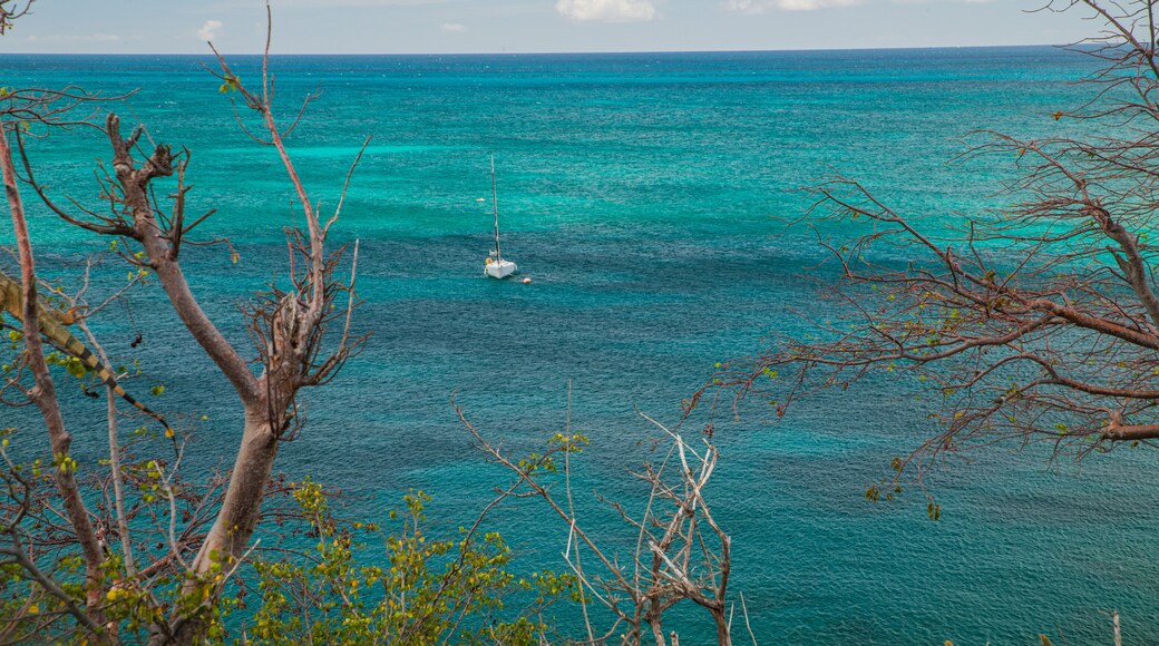Friar's Bay