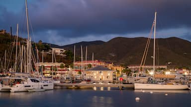 Marigot showing a bay or harbor and night scenes