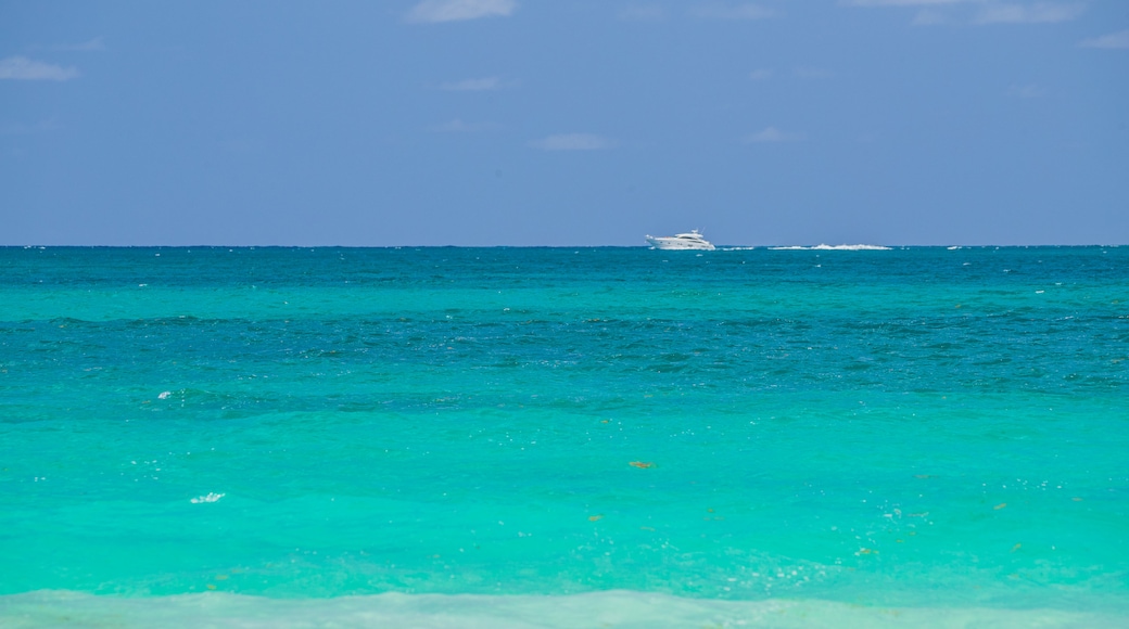 Orient Bay Beach showing boating and general coastal views