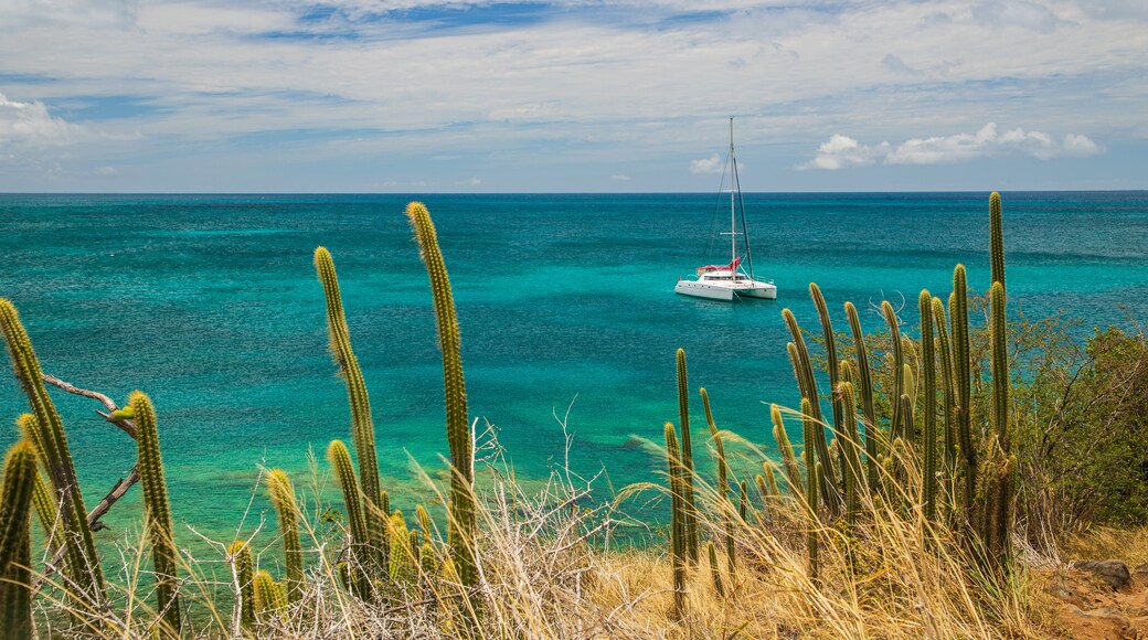 Friar's Bay