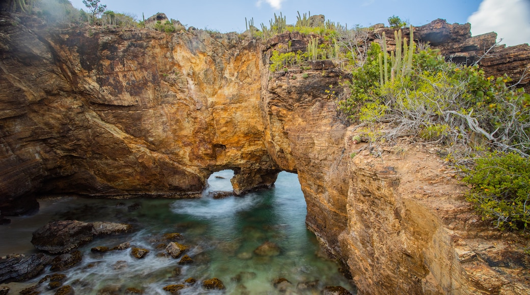 Saint Martin featuring rugged coastline