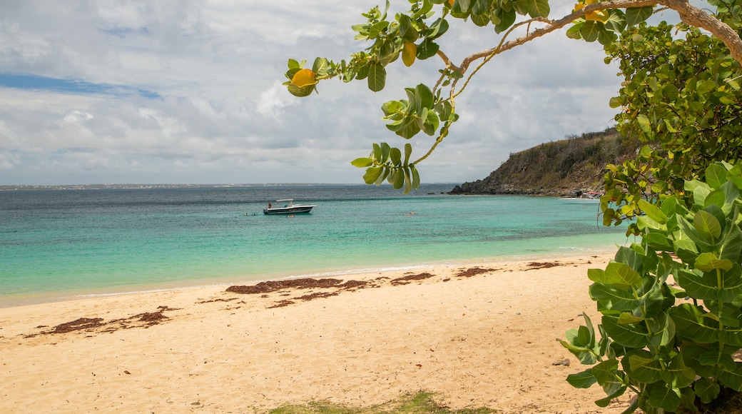 Happy Bay Beach