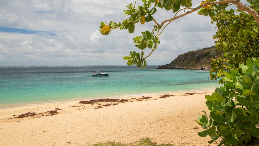 Happy Bay Beach