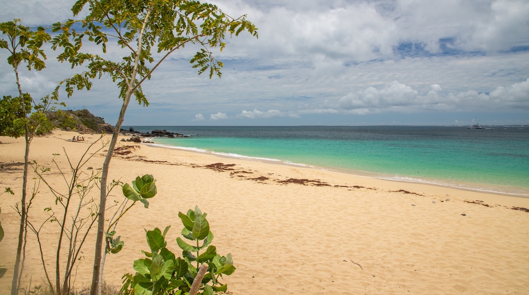 Happy Bay Beach