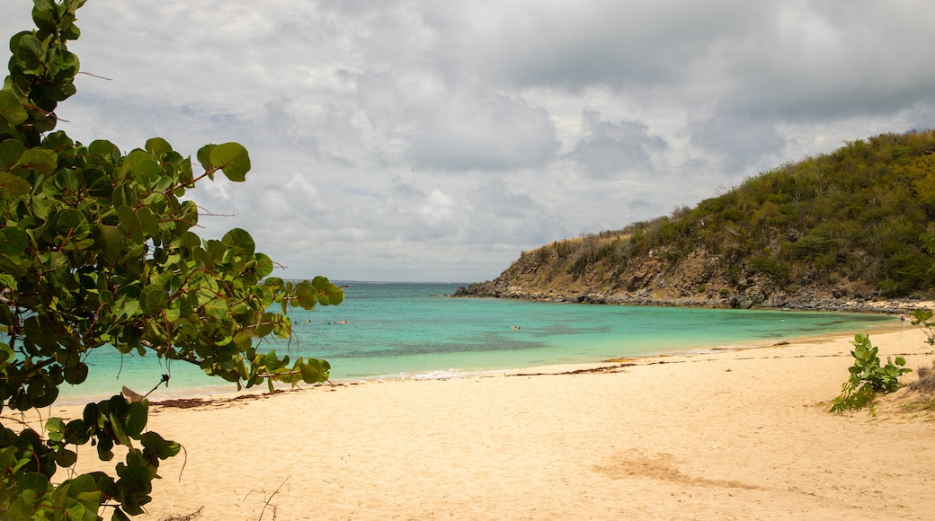 Happy Bay Beach