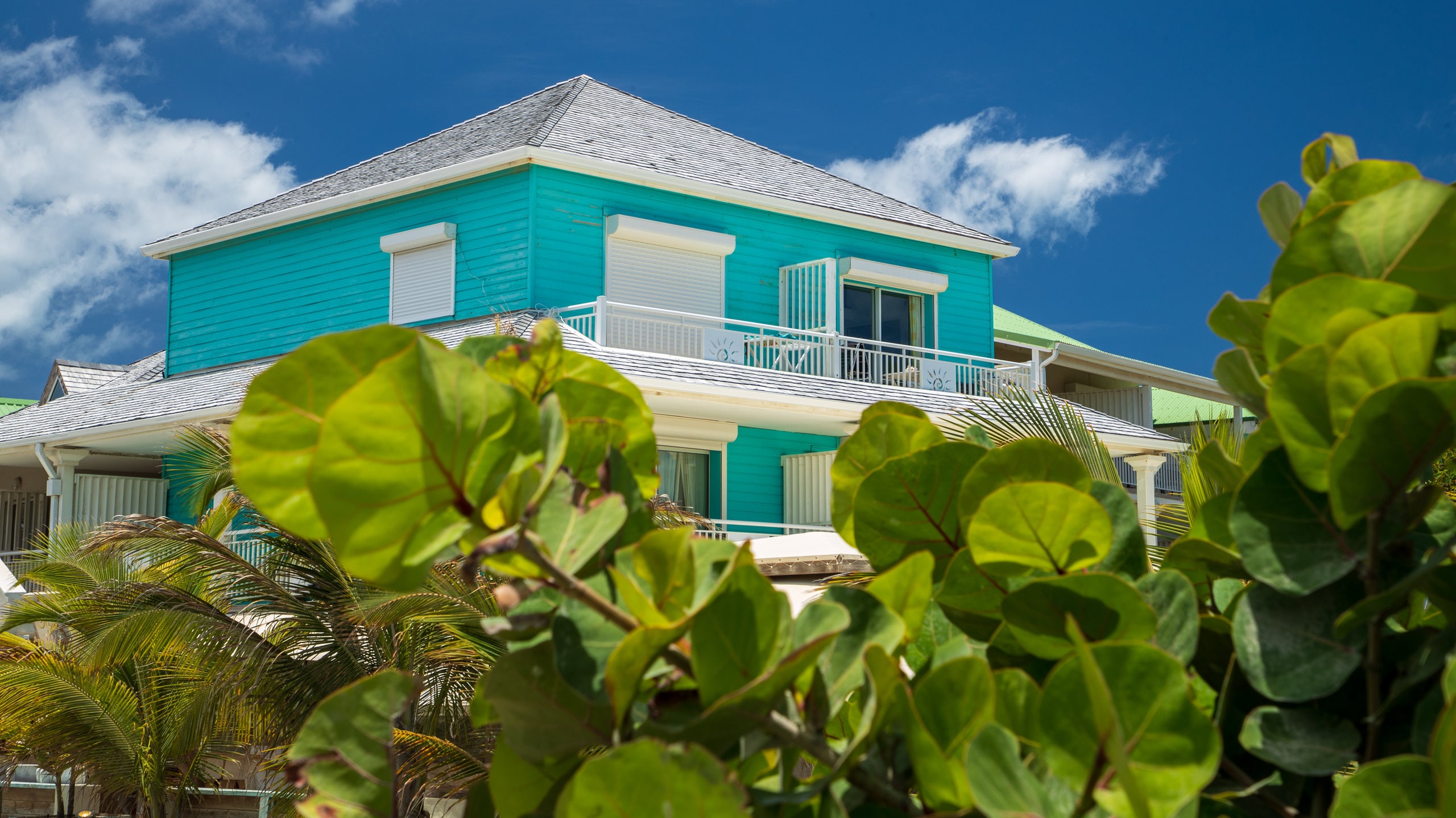 Orient Bay showing a house