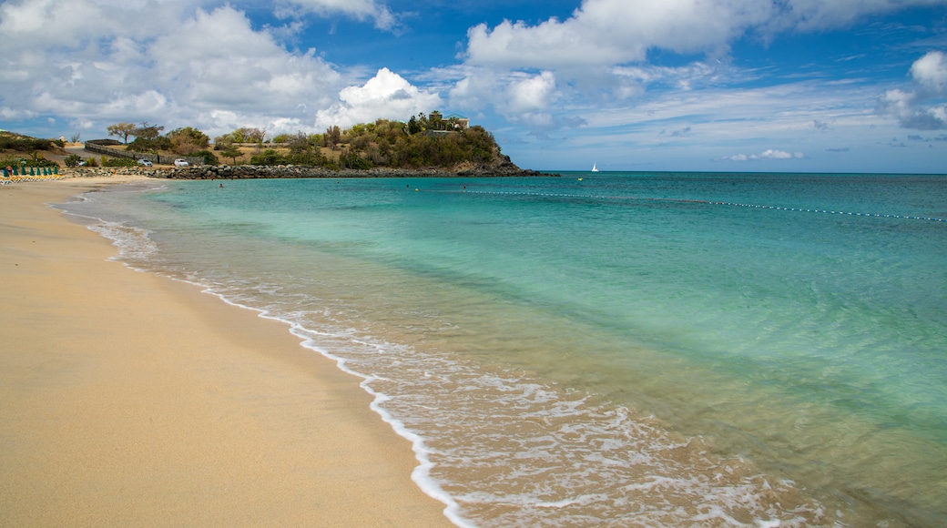 Bãi biển Friars Bay