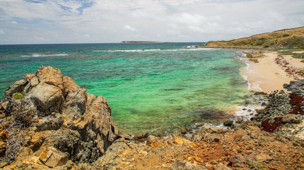 Isla Pinel