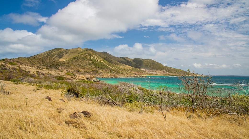 Isla Pinel