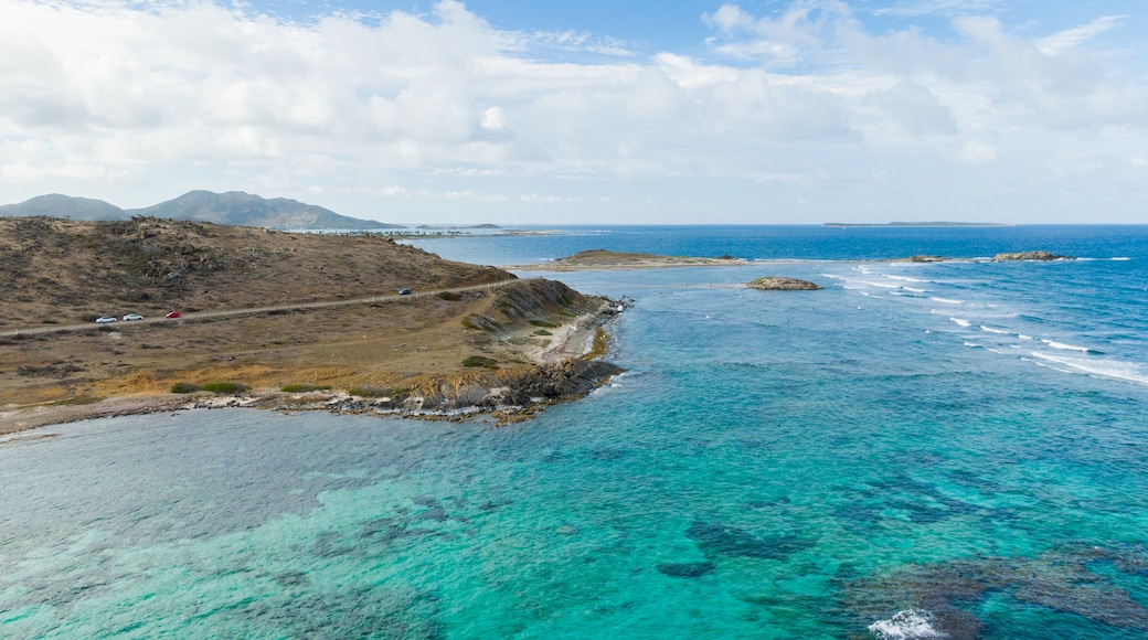Saint Martin showing general coastal views and landscape views