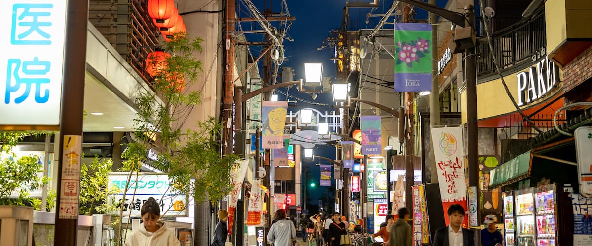 Nara featuring street scenes, a city and night scenes