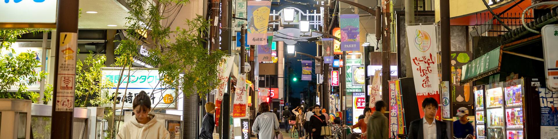 Nara featuring street scenes, a city and night scenes