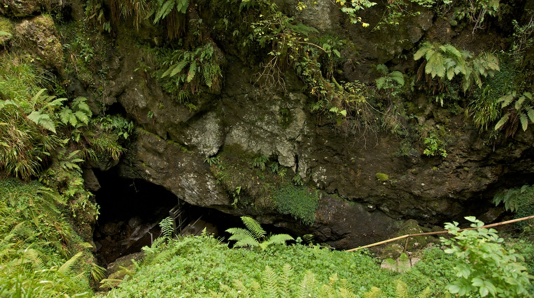 大理石拱型洞地質公園