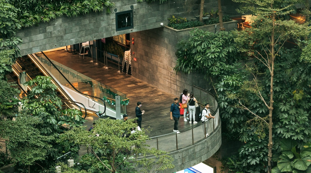 Jewel Changi Airport