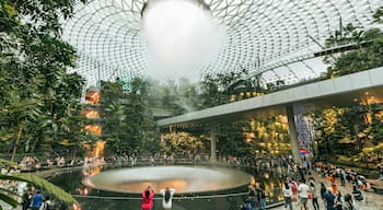 Jewel Changi Airport featuring interior views, a fountain and a garden