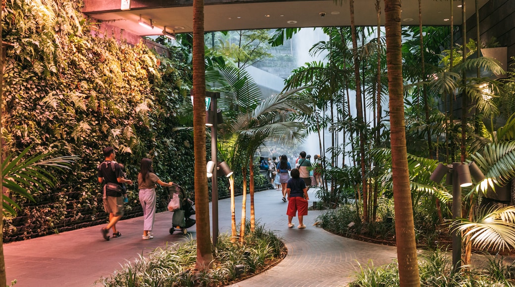Changi