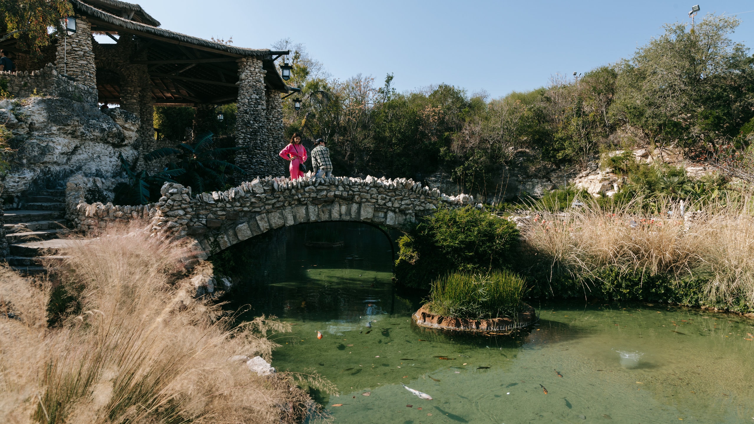 Japanese Tea Gardens showing heritage elements, a pond and a bridge