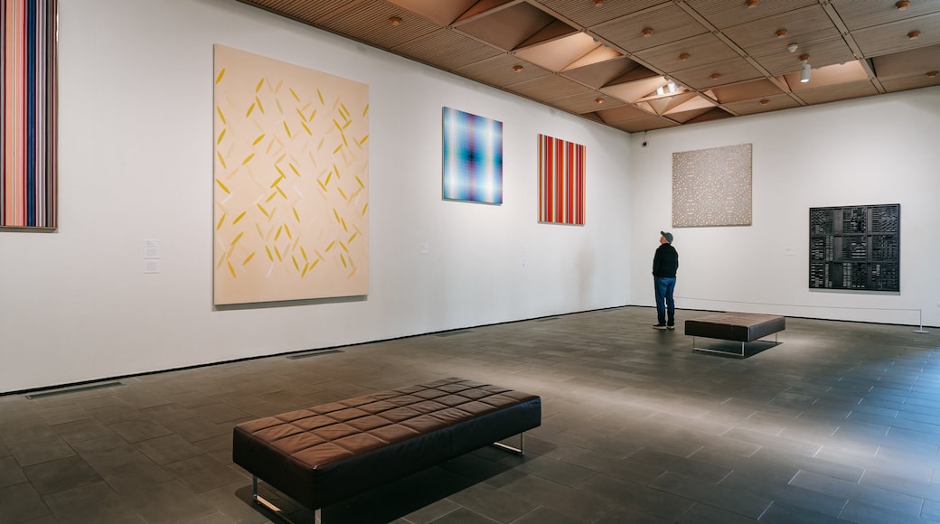 Marion Koogler McNay Art Museum