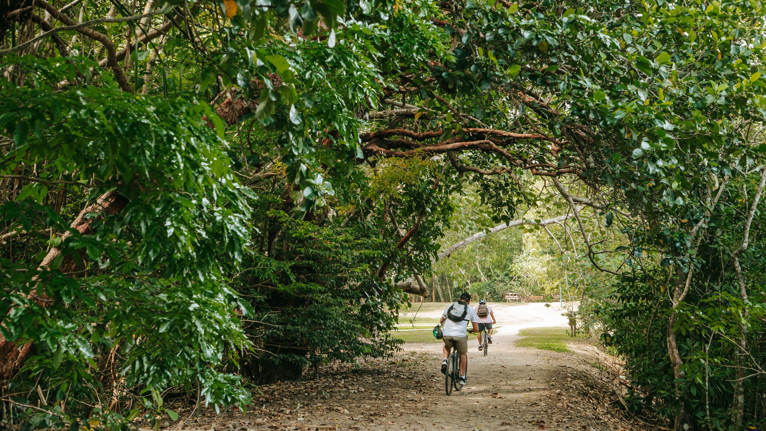 <h2>Los mejores alojamientos para parejas</h2> 